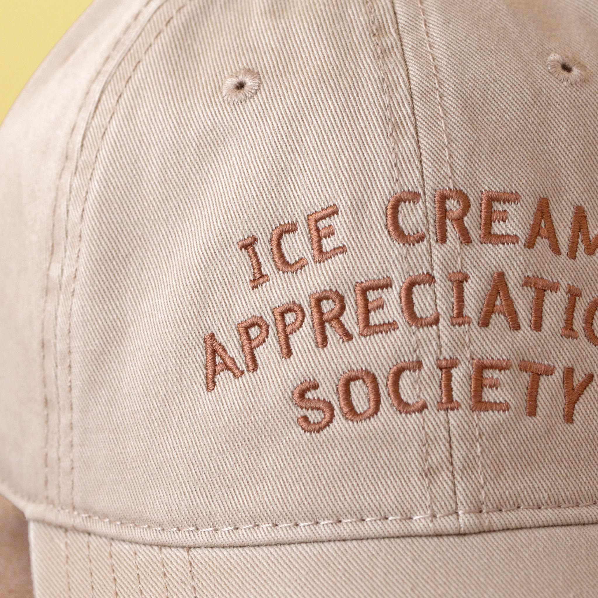 Ice Cream Appreciation Society Cap